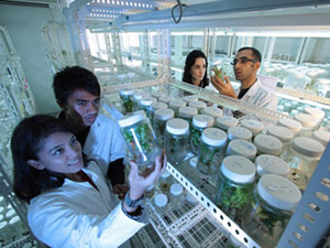 Science Laboratory DDOS网页端平台